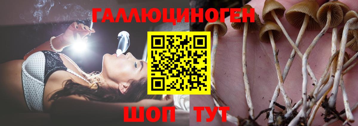 Псилоцибиновые грибы Magic Shrooms Узловая