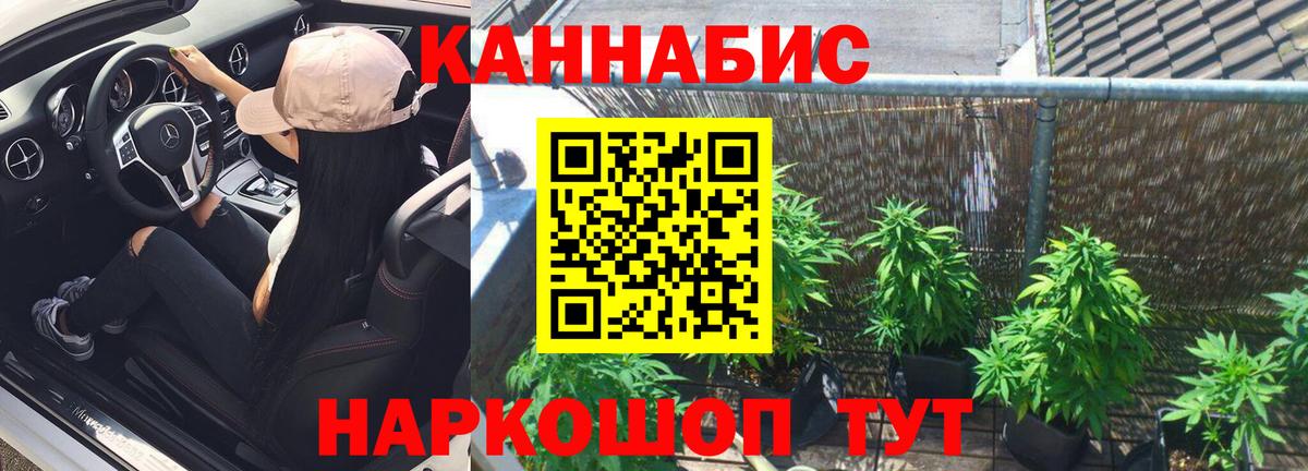 Шишки марихуана Ganja  Бошки марихуана планчик  Вход с VPN  Узловая 